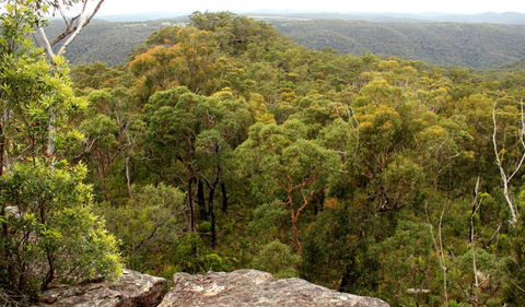 Mount Olive Lookout - Find Attractions 0