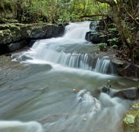 Jerusalem Creek trail - Find Attractions