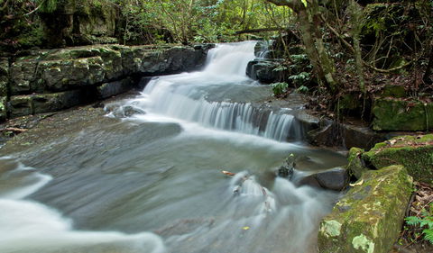 Jerusalem Creek Trail - Find Attractions 0