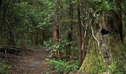 Jerusalem Creek Trail - Find Attractions 1