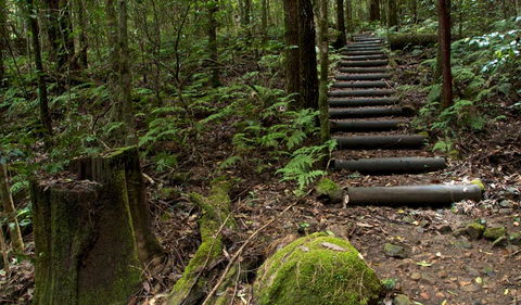 Jerusalem Creek Trail - Find Attractions 2