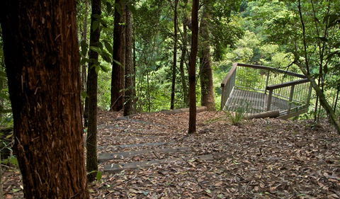 Jerusalem Creek Trail - Find Attractions 3