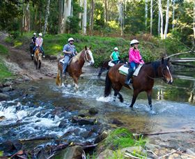 Glenworth Valley Horse Riding - Find Attractions 1