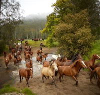 Glenworth Valley Horse Riding - Find Attractions