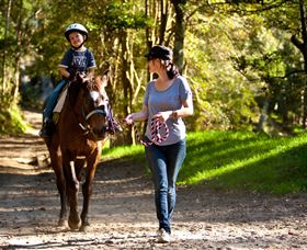 Glenworth Valley Horse Riding - Find Attractions 3