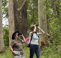 Chichester State Forest - Find Attractions