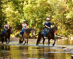 Glenworth Valley Outdoor Adventures - Find Attractions 2