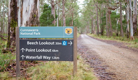 Beech Lookout - Find Attractions 0