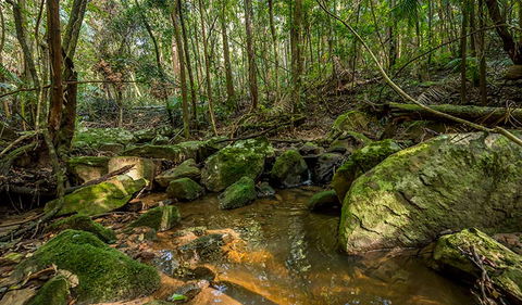Palm Grove Nature Reserve - Find Attractions 0