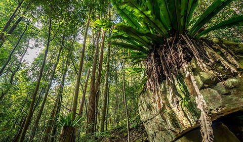 Palm Grove Nature Reserve - Find Attractions 1