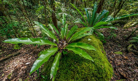 Palm Grove Nature Reserve - Find Attractions 2