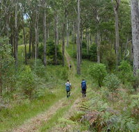 The Green Gully track - Find Attractions