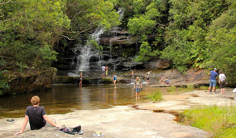 Somersby Falls Picnic Area - Find Attractions 0