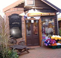 Australian Alpaca Barn - Morpeth - Find Attractions