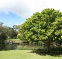 Hervey Bay Botanic Gardens - Find Attractions
