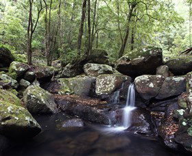  Find Attractions