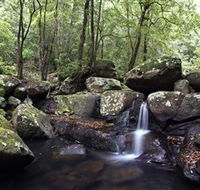 Kangaroo River - Find Attractions