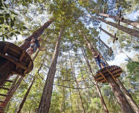 TreeTop Adventure Park Central Coast - Find Attractions 0