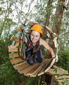 TreeTop Adventure Park Central Coast - Find Attractions 3