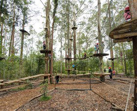 TreeTop Adventure Park Central Coast - Find Attractions 5