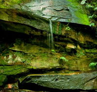 Strickland State Forest - Find Attractions