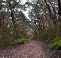 Budawang National Park - Find Attractions