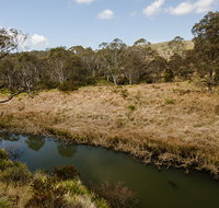 Werrikimbe National Park - Find Attractions