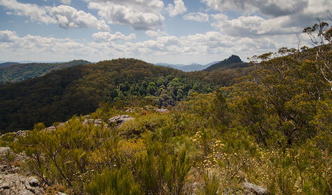 Werrikimbe National Park - Find Attractions 1
