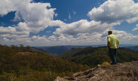 Werrikimbe National Park - Find Attractions 2