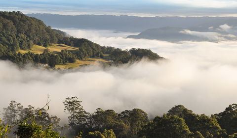 Cambewarra Range Nature Reserve - Find Attractions 0