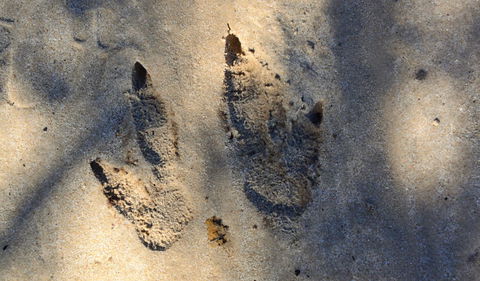 Cambewarra Range Nature Reserve - Find Attractions 3
