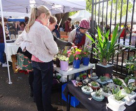 Glebe Markets - Find Attractions 3