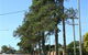 Anzac Memorial Avenue, Redcliffe - thumb 1