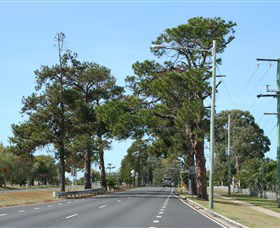 Anzac Memorial Avenue, Redcliffe - Find Attractions 2