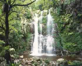 Budderoo National Park - The Falls Walk - Find Attractions 0