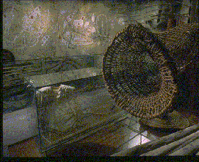 Australian Museum - Find Attractions 3