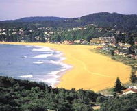 Avoca Beach