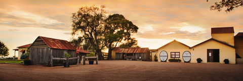 Tyrrells Vineyards - Find Attractions 2