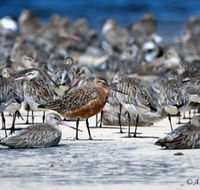 Cooloola Nature - Find Attractions