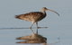 Cooloola Nature - thumb 3