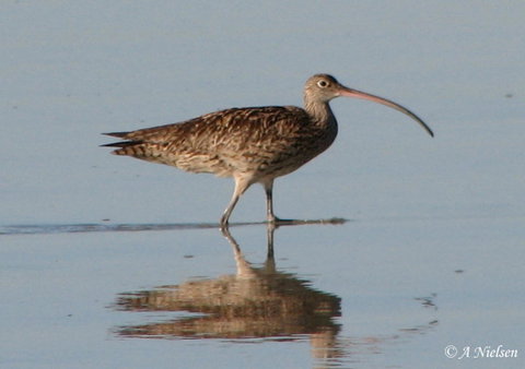 Cooloola Nature - Find Attractions 3