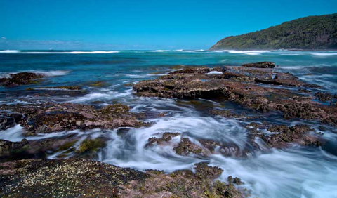 Wyrrabalong National Park - Find Attractions 0