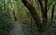 Wyrrabalong National Park - thumb 2
