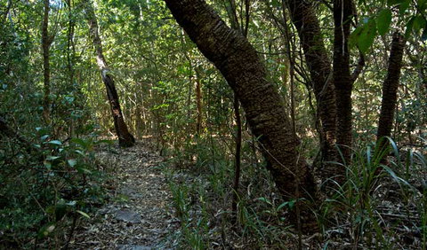 Wyrrabalong National Park - Find Attractions 2