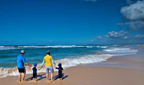 Wyrrabalong National Park - Find Attractions 3