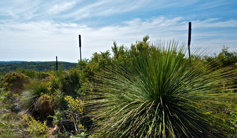 Munmorah State Conservation Area - Find Attractions 1