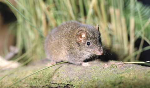 Munmorah State Conservation Area - Find Attractions 0