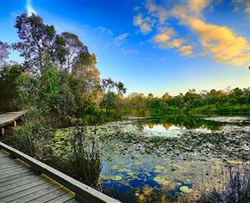 Berrinba Wetlands - Find Attractions 0