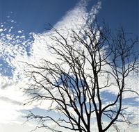 Nudgee Beach - Find Attractions