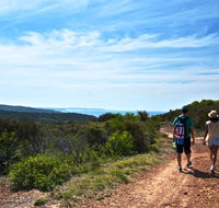 Moonee Beach trail - Find Attractions